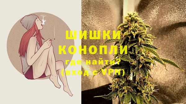 бошки Верея