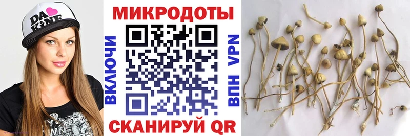 Галлюциногенные грибы Psilocybe  блэк спрут онион  Электросталь 